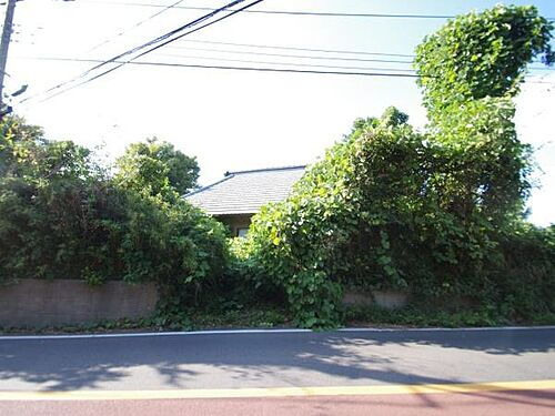 千葉県山武郡芝山町境 土地