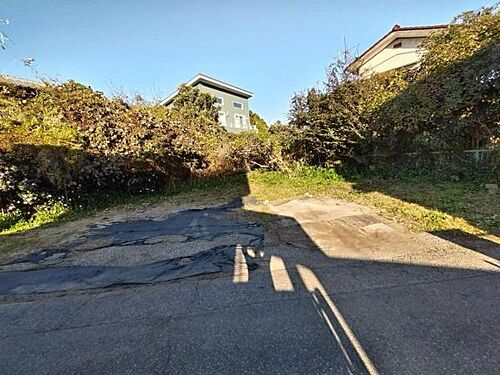 千葉県八街市大木 100万円