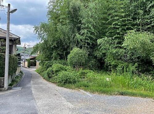 京都府京都市右京区嵯峨釈迦堂門前南中院町 土地