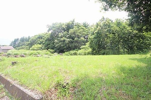 山梨県北杜市大泉町西井出 土地