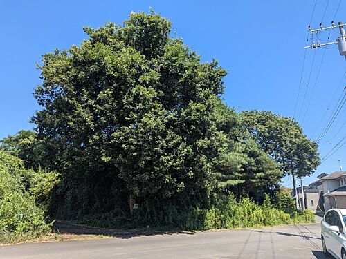 茨城県水戸市元石川町 土地
