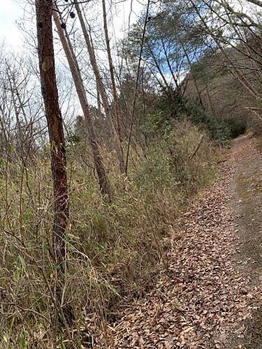 兵庫県加東市上鴨川 120万円