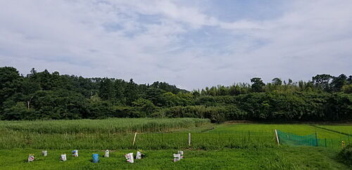 千葉県富津市桜井 土地