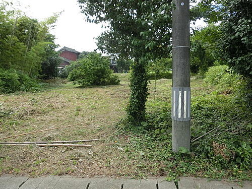 新潟県佐渡市新穂潟上 土地