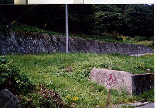 長野県岡谷市川岸東３丁目 土地