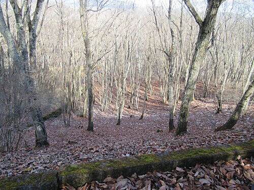 長野県北佐久郡軽井沢町大字発地 土地