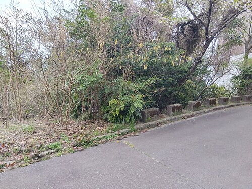 静岡県田方郡函南町平井 土地