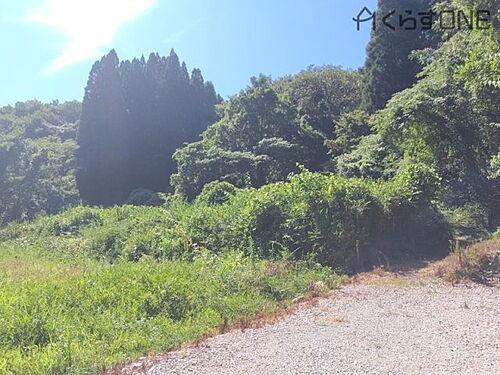 兵庫県たつの市新宮町下莇原 50万円