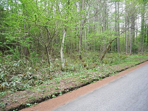 長野県上水内郡飯綱町大字川上 80万円