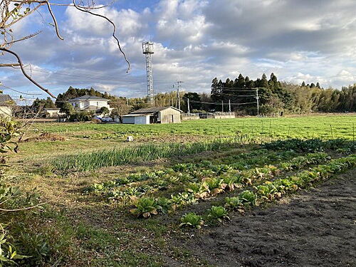 鹿児島県日置市吹上町中原 土地