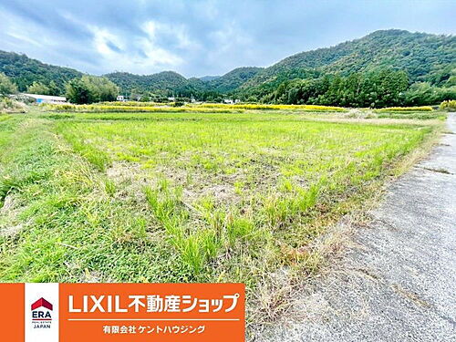 京都府亀岡市曽我部町穴太一本木 土地