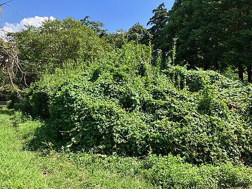 千葉県千葉市緑区平山町 土地