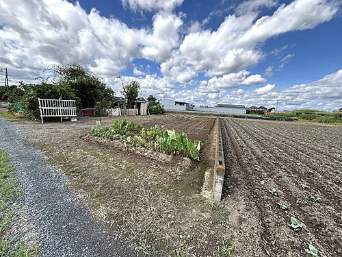 埼玉県吉川市大字川藤 土地