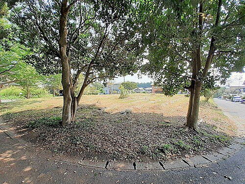 大分県速見郡日出町大字川崎 土地