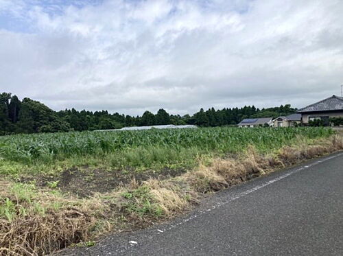 鹿児島県肝属郡肝付町新富 土地