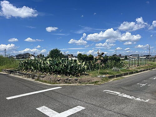 愛知県江南市河野町小脇 土地