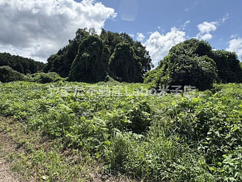 鳥取県米子市福万 50万円