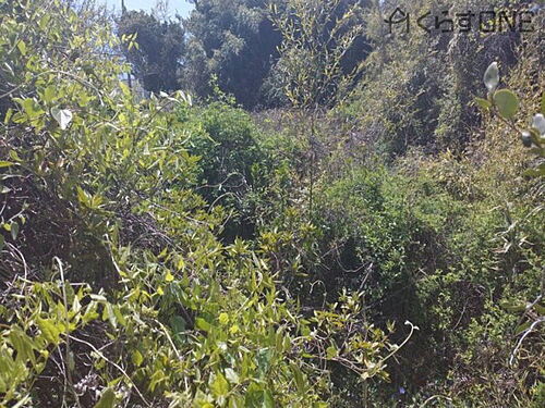 兵庫県たつの市御津町室津 200万円