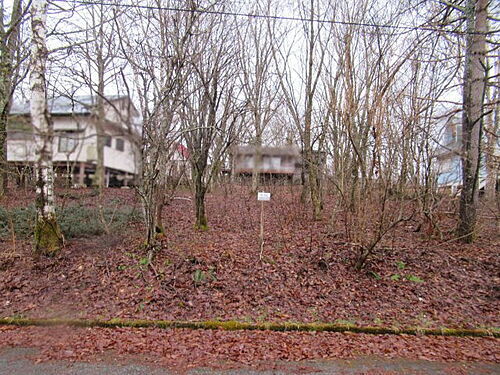 岐阜県高山市朝日町西洞 土地