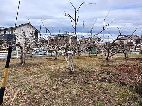 岐阜県瑞穂市古橋 土地