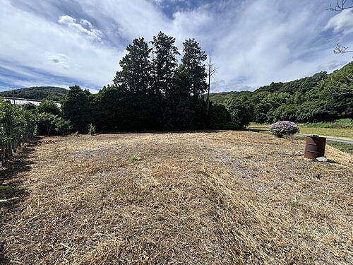 茨城県桜川市入野 土地