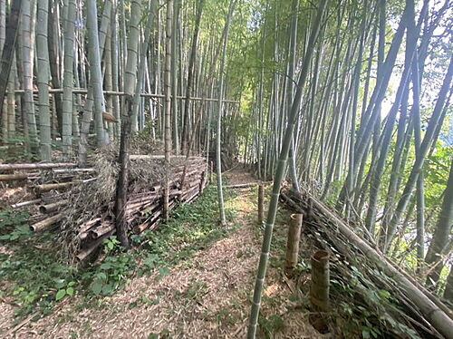 熊本県玉名郡南関町大字豊永 土地
