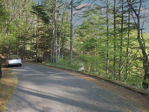 長野県北佐久郡軽井沢町大字軽井沢 土地