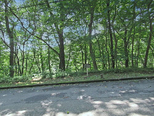 栃木県那須郡那須町大字高久乙 土地