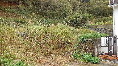 千葉県市原市青葉台１丁目 土地