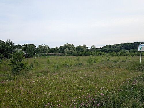 北海道網走郡美幌町字元町 土地