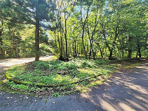 宮城県刈田郡蔵王町遠刈田温泉字鬼石原 土地