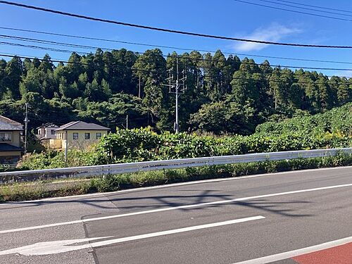 千葉県山武市埴谷 土地