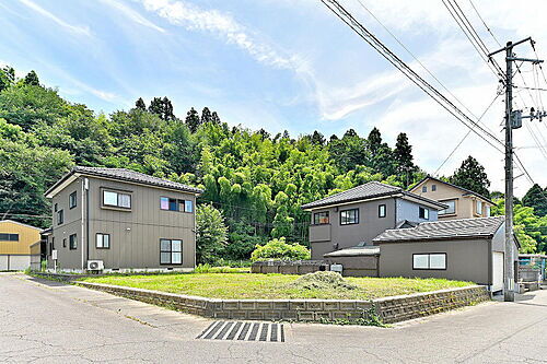 新潟県南蒲原郡田上町大字羽生田 320万円