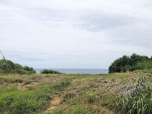 鹿児島県大島郡龍郷町赤尾木 土地