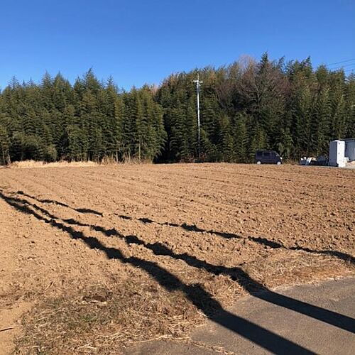 茨城県つくば市若森 1000万円