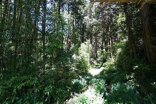 鹿児島県鹿児島市小山田町 土地