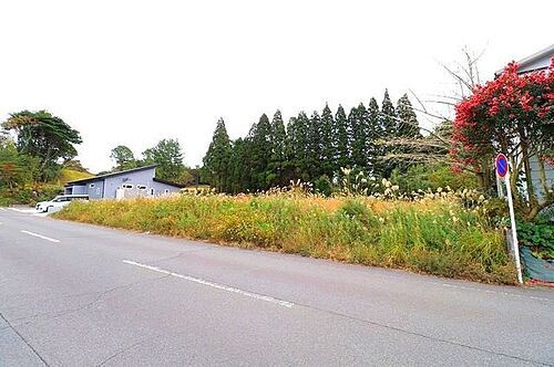 鹿児島県鹿児島市吉野町 土地