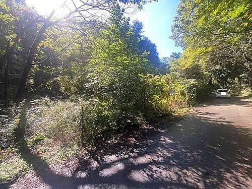 栃木県芳賀郡芳賀町大字西水沼 土地