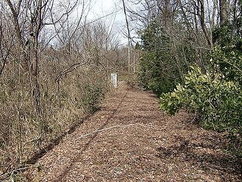 鳥取県西伯郡伯耆町金屋谷 土地