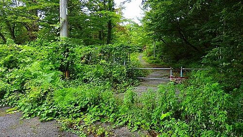 鳥取県西伯郡伯耆町小林 700万円