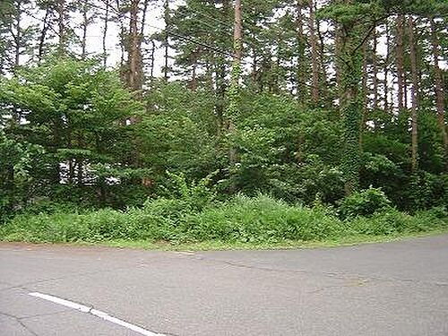 鳥取県西伯郡伯耆町丸山 250万円