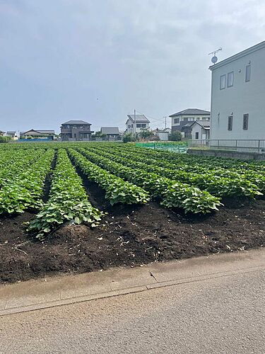 茨城県ひたちなか市平磯町 土地