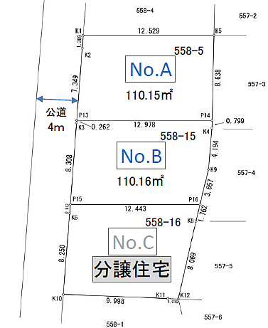 千葉県千葉市中央区大巌寺町 土地