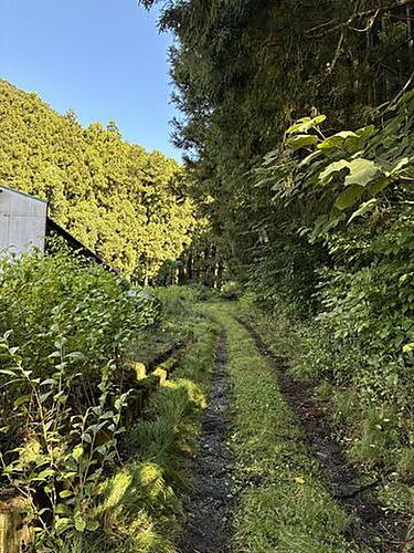 宮城県石巻市成田字前山下 50万円