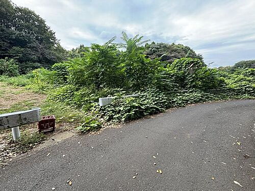 茨城県守谷市立沢 1380万円