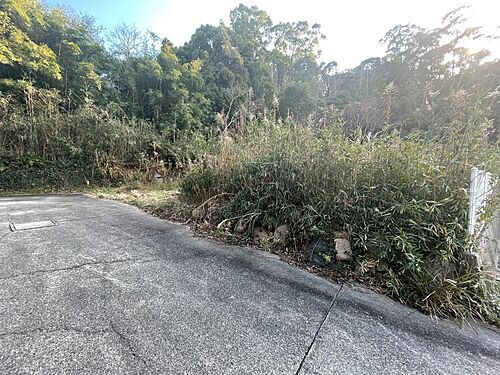 和歌山県日高郡日高町大字小坂 180万円