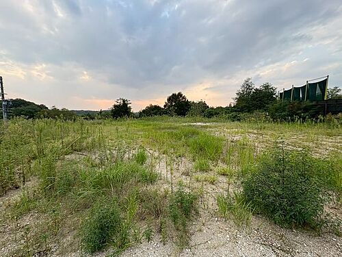 愛知県愛知郡東郷町大字諸輪字百々 土地