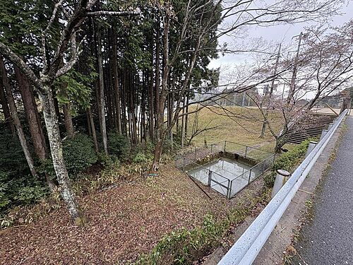 広島県安芸高田市八千代町上根 土地