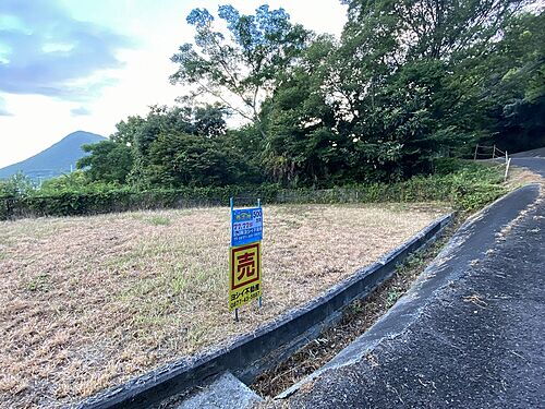 香川県坂出市川津町 土地