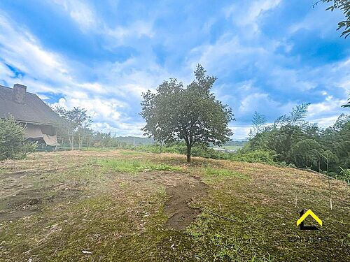 宮崎県東諸県郡国富町大字本庄 土地